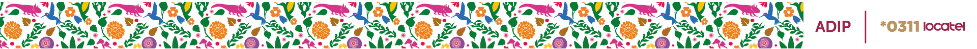Decoración adicional del footer